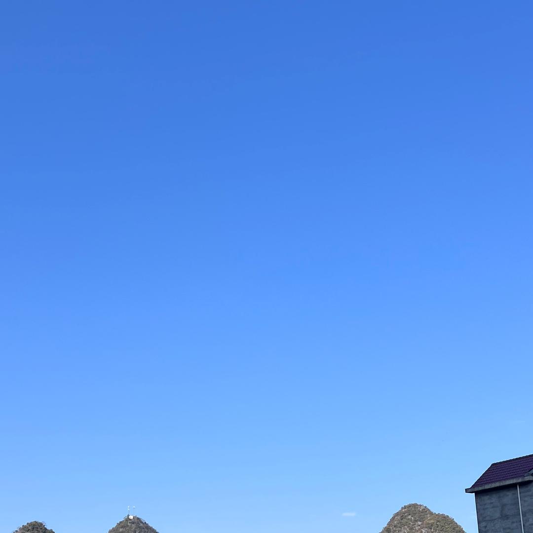 预言者