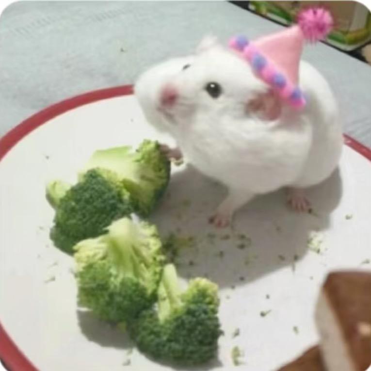 Xx_