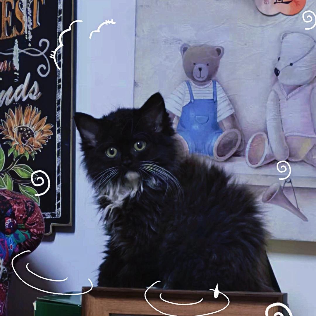 不止是小熊世界