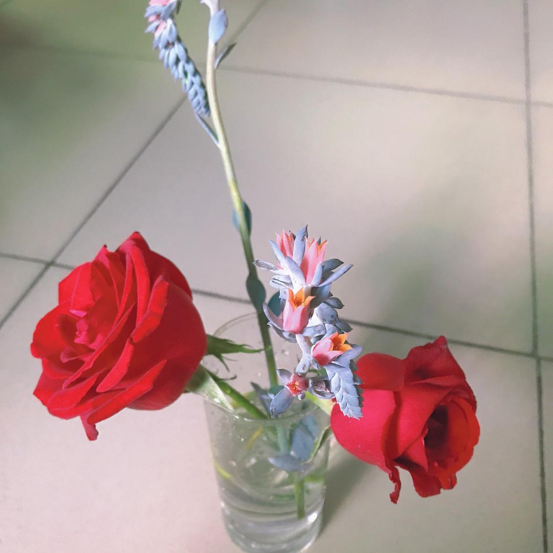 吃喝玩乐在恩施