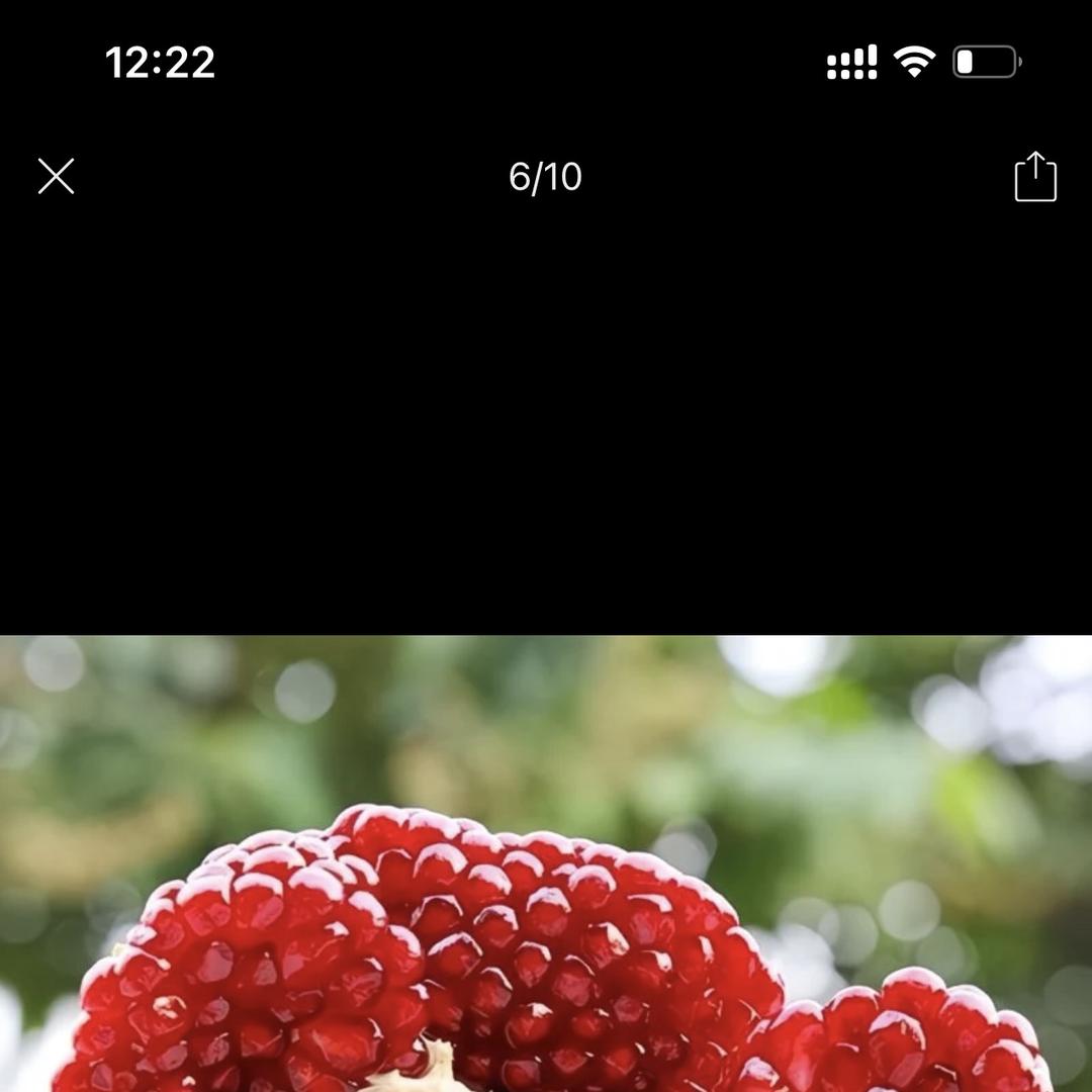 潼城优品