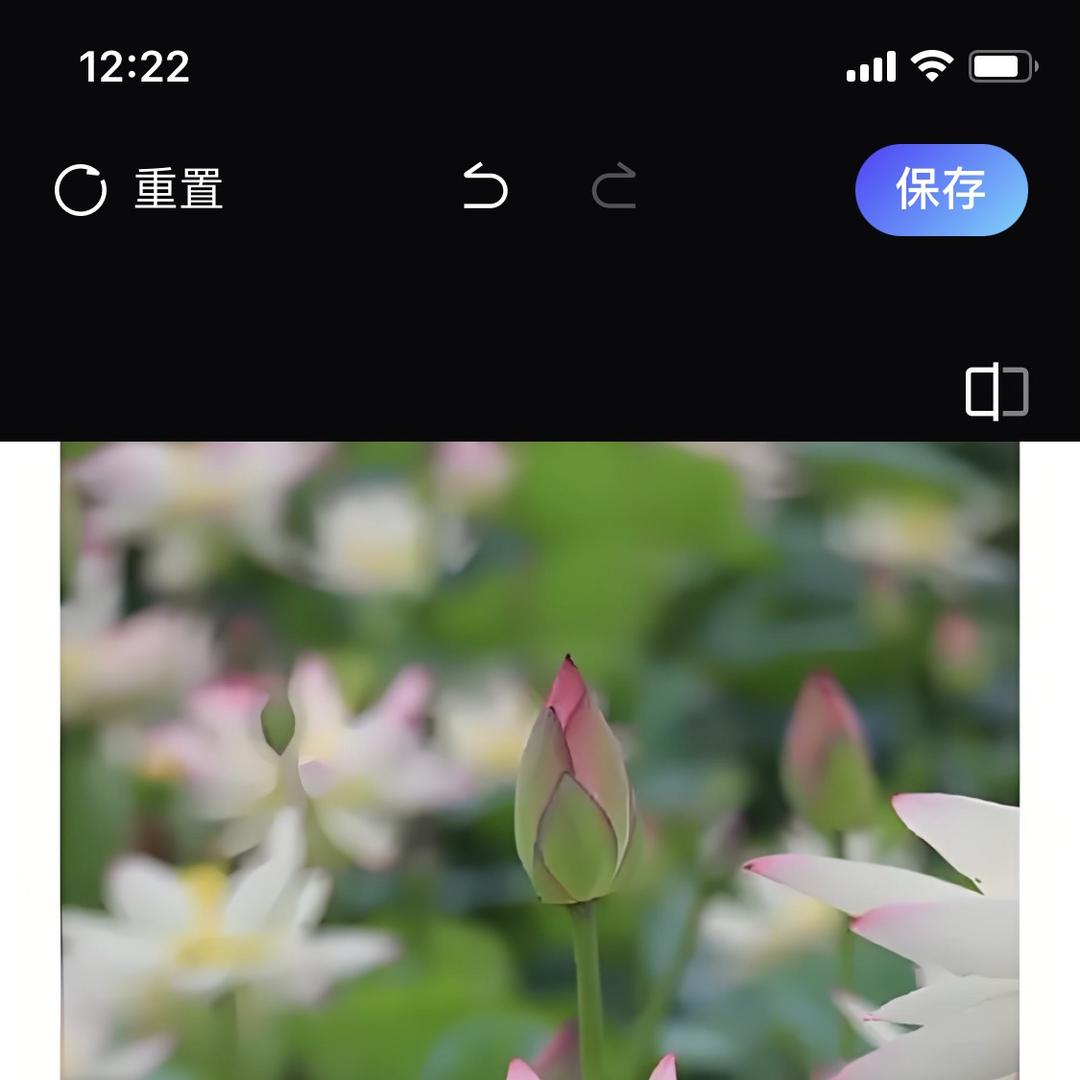福佳福