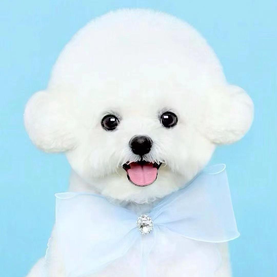 萌宠康！
