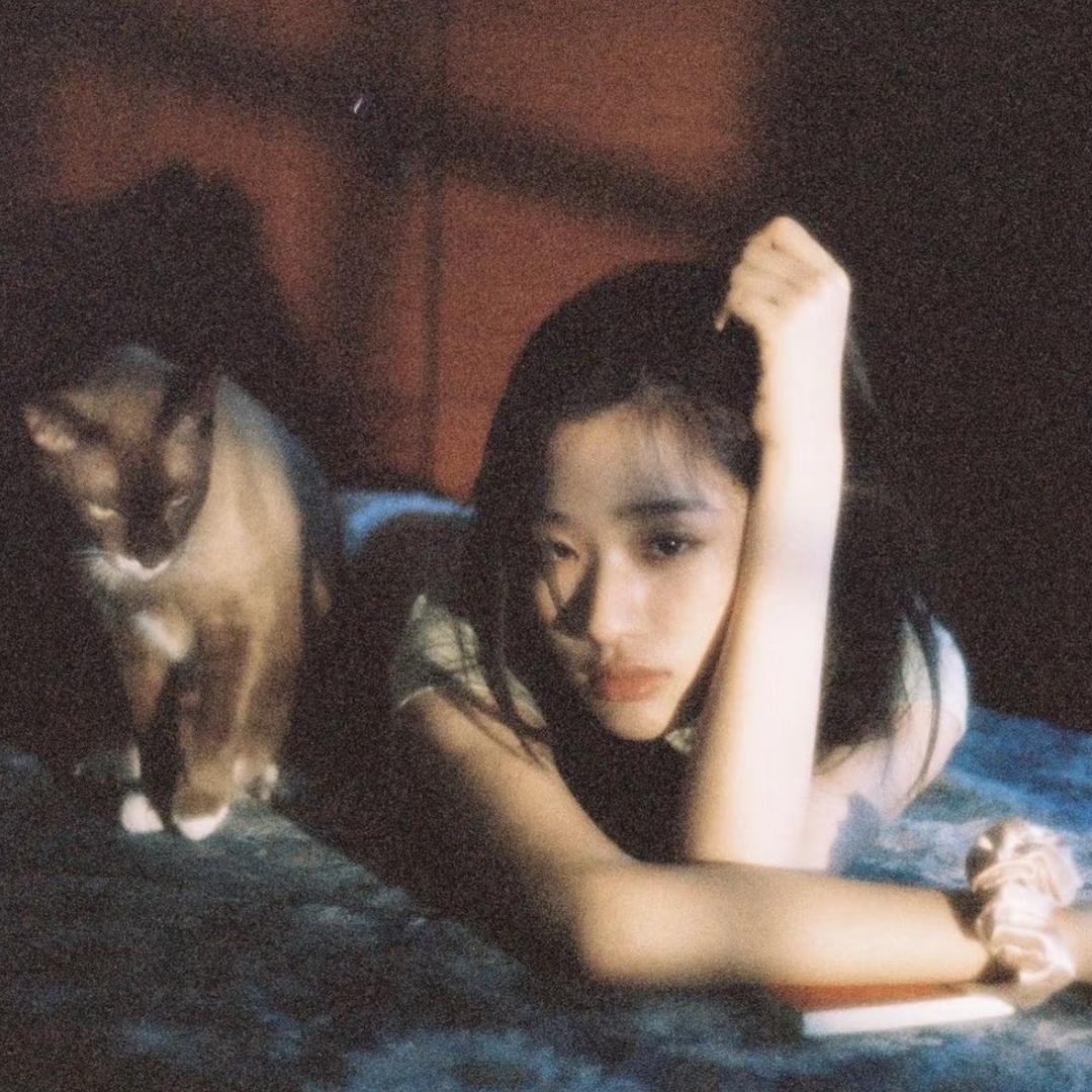 美式奈丝