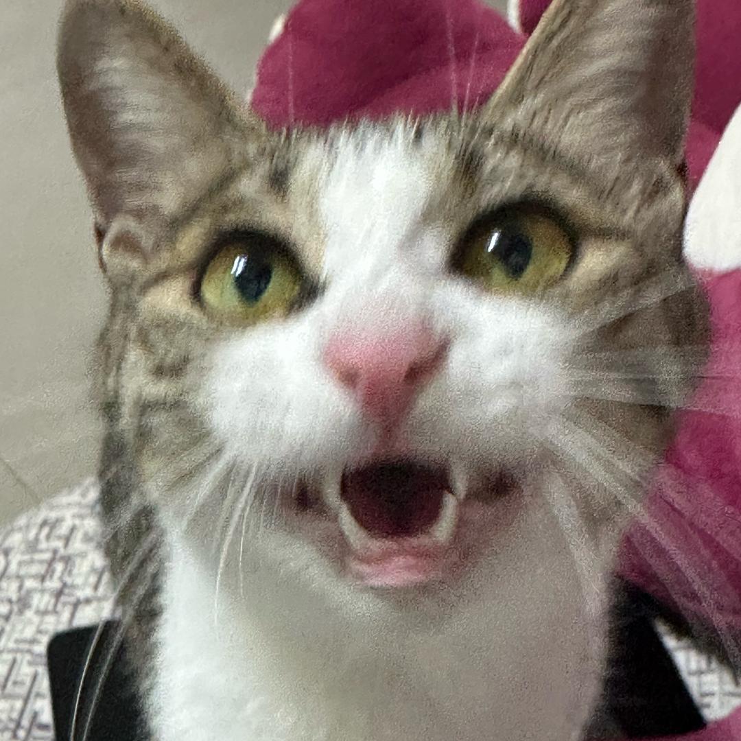 发财