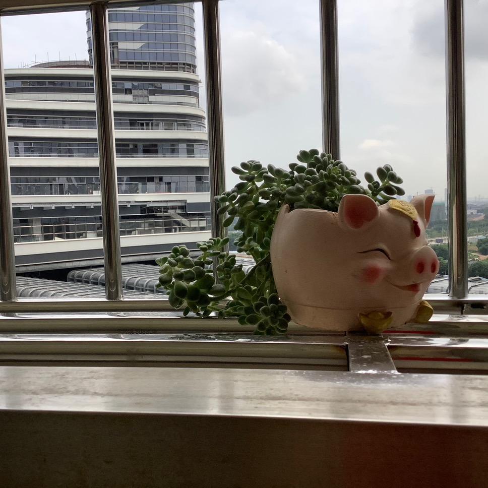 江州司马