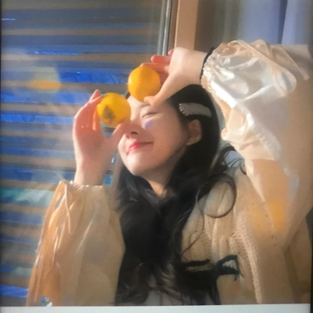 撞进夏曰晚风