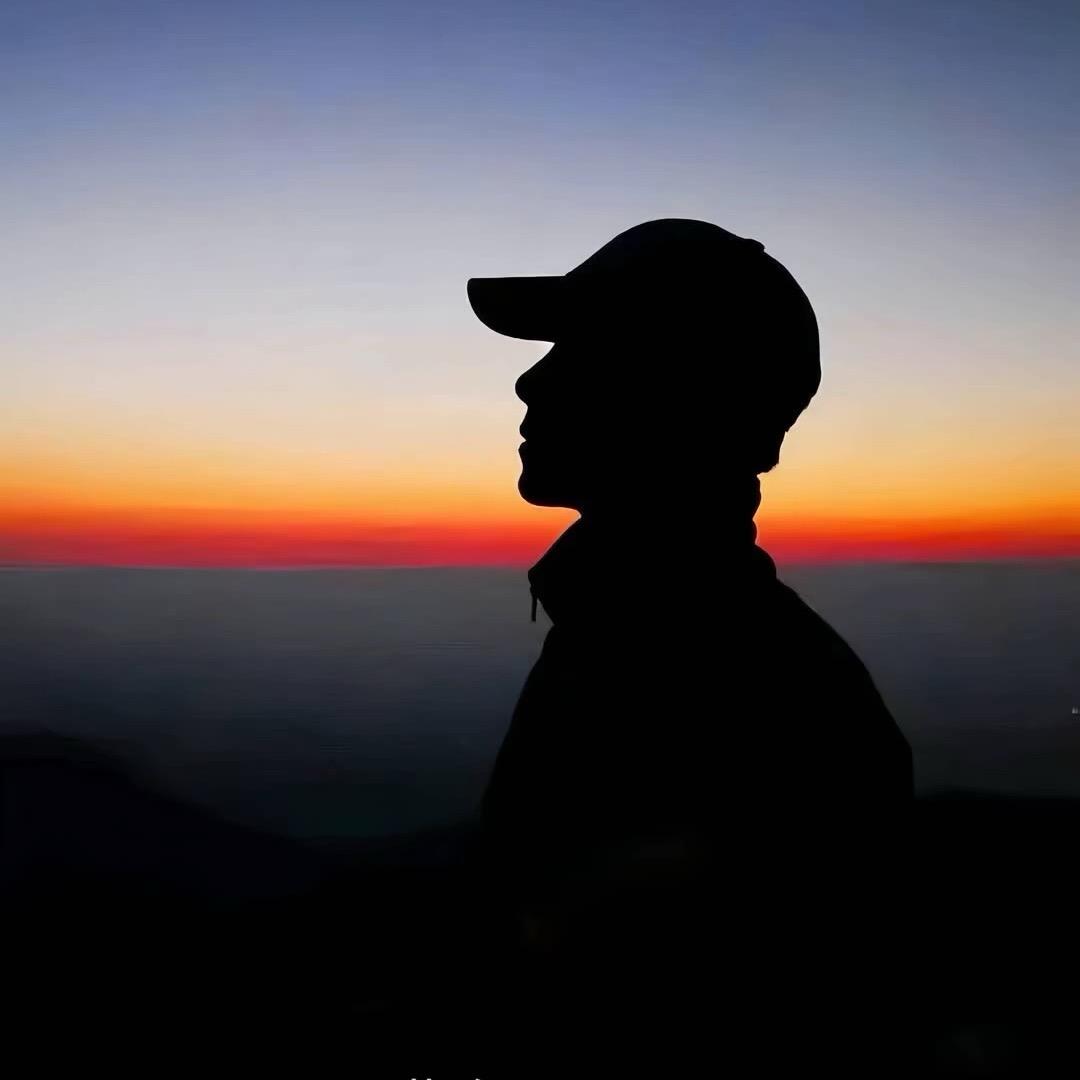 李什么李李