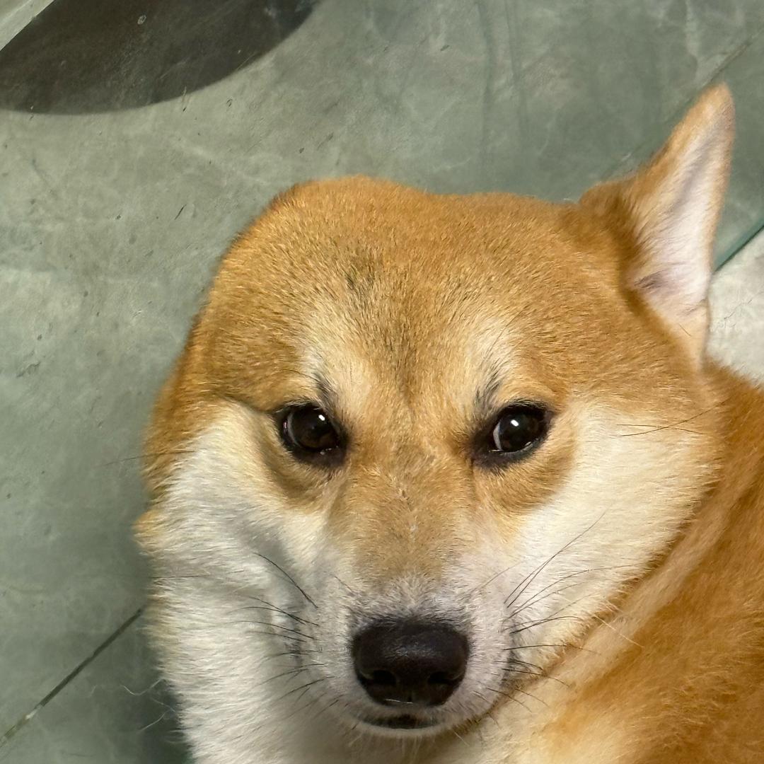 泡泡泡