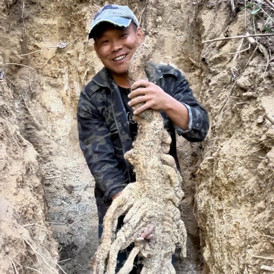 迎合农副产品山中人