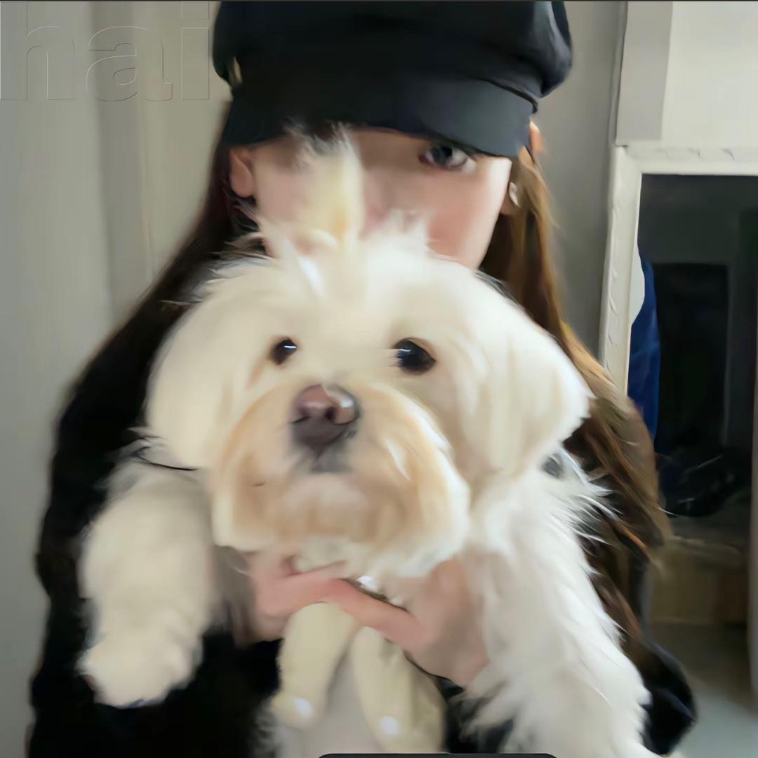 素贞