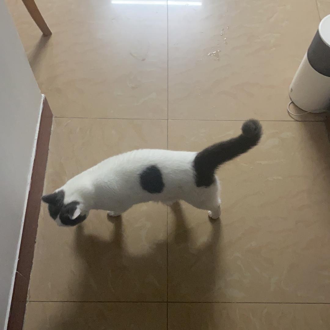 小不点玩具严选