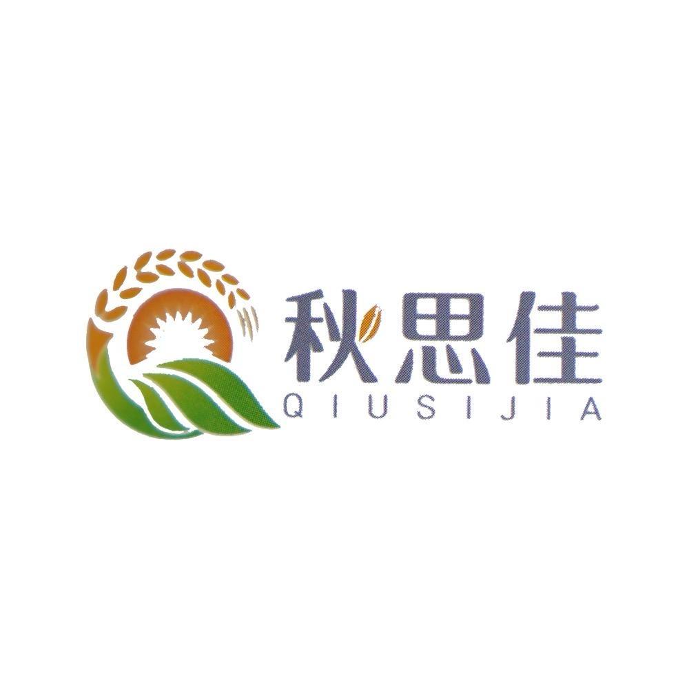 正上甄选