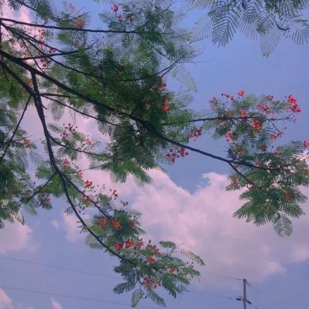 种草小达人