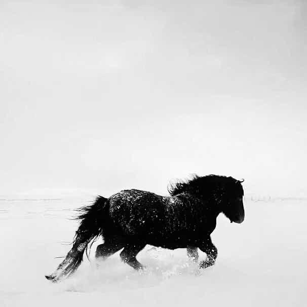 世间纵有万般兵刃