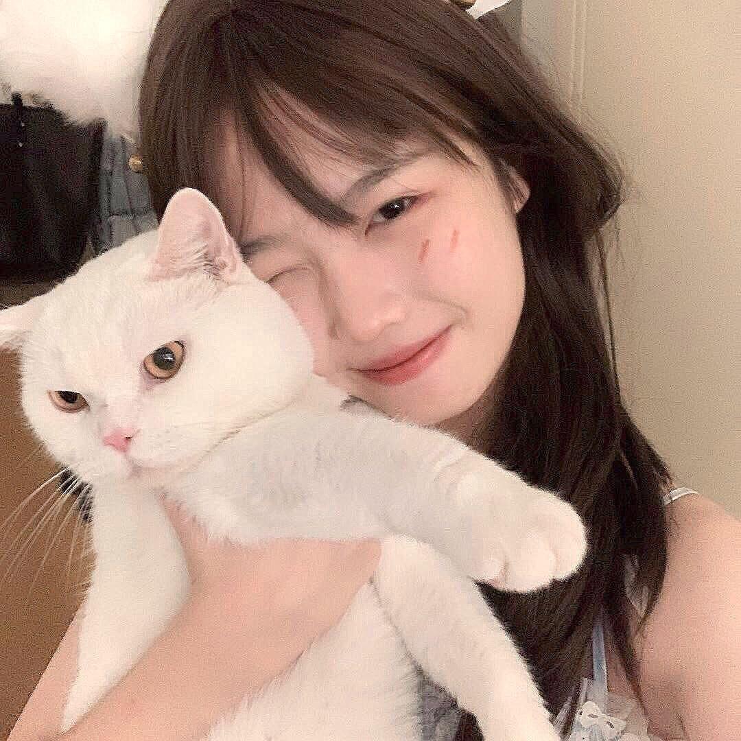 想吃小饭团