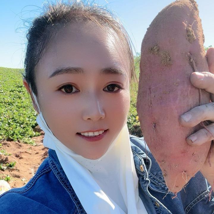 绥中薯一薯二薯业