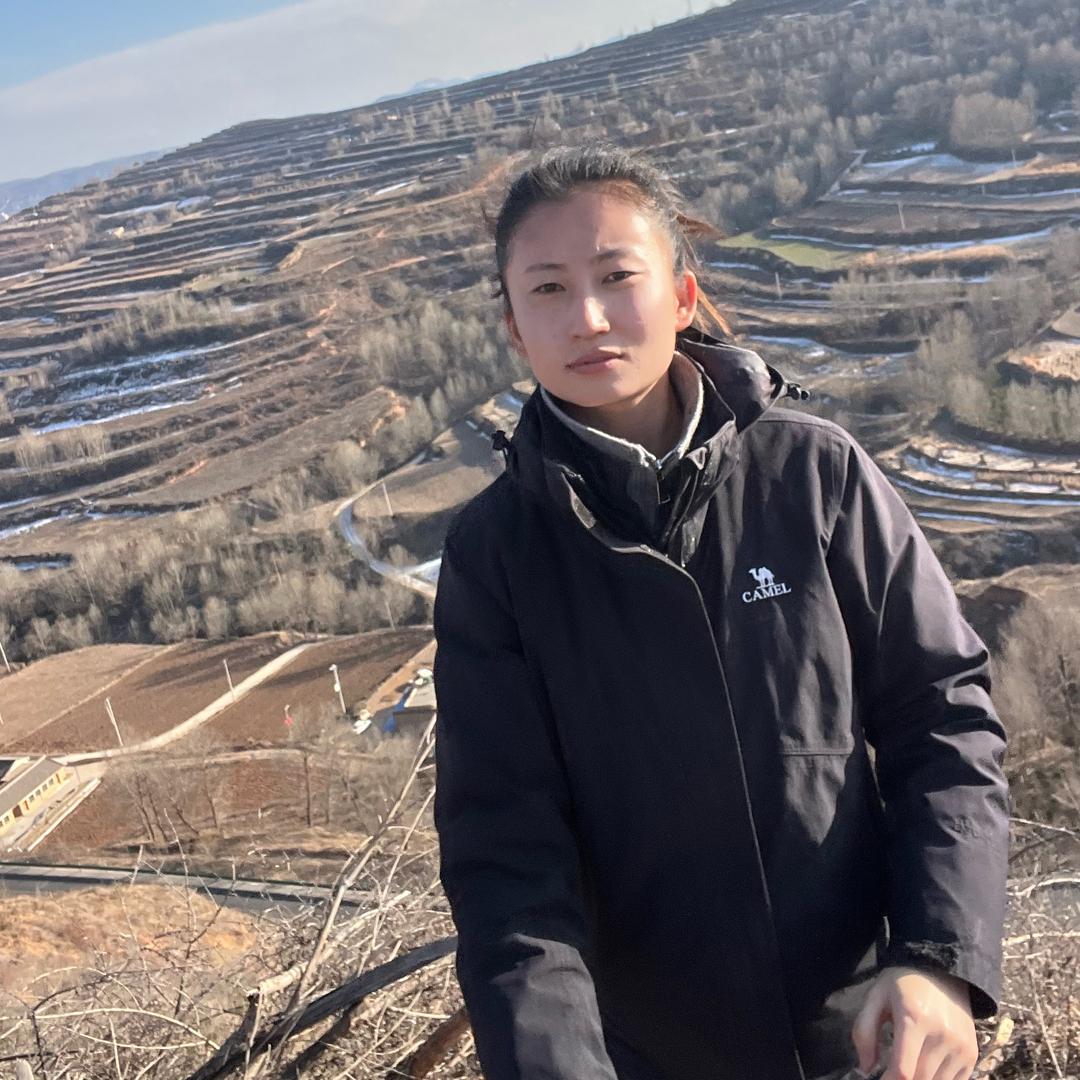 张小董专注党参当归黄芪