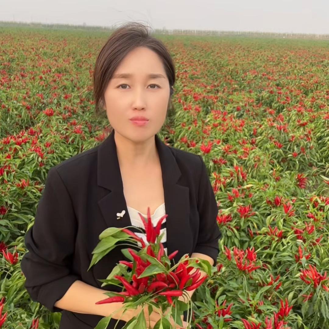 辣椒妹农业