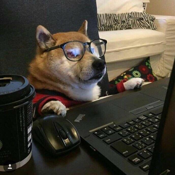 ᙏᖇX