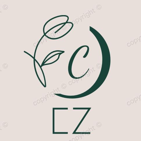 CZUZZ益祥电子专卖店