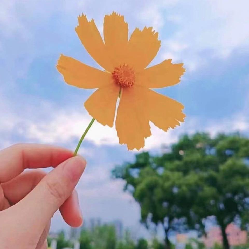 ᭄ꦿᩚ٭伊塔 💞