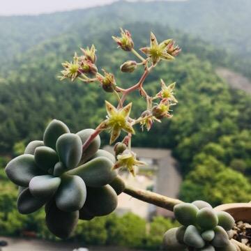 梦想起航
