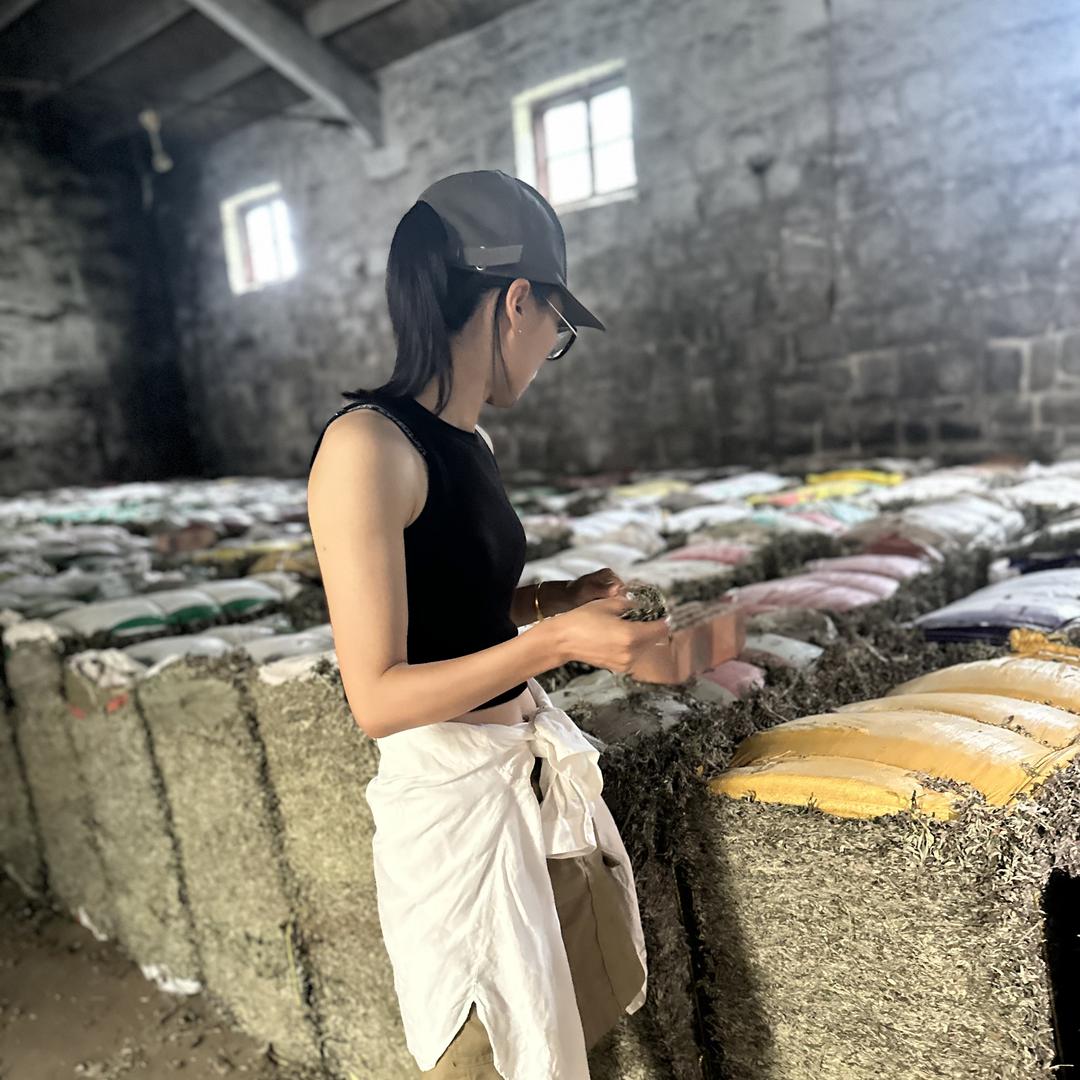 俺们山东有好艾