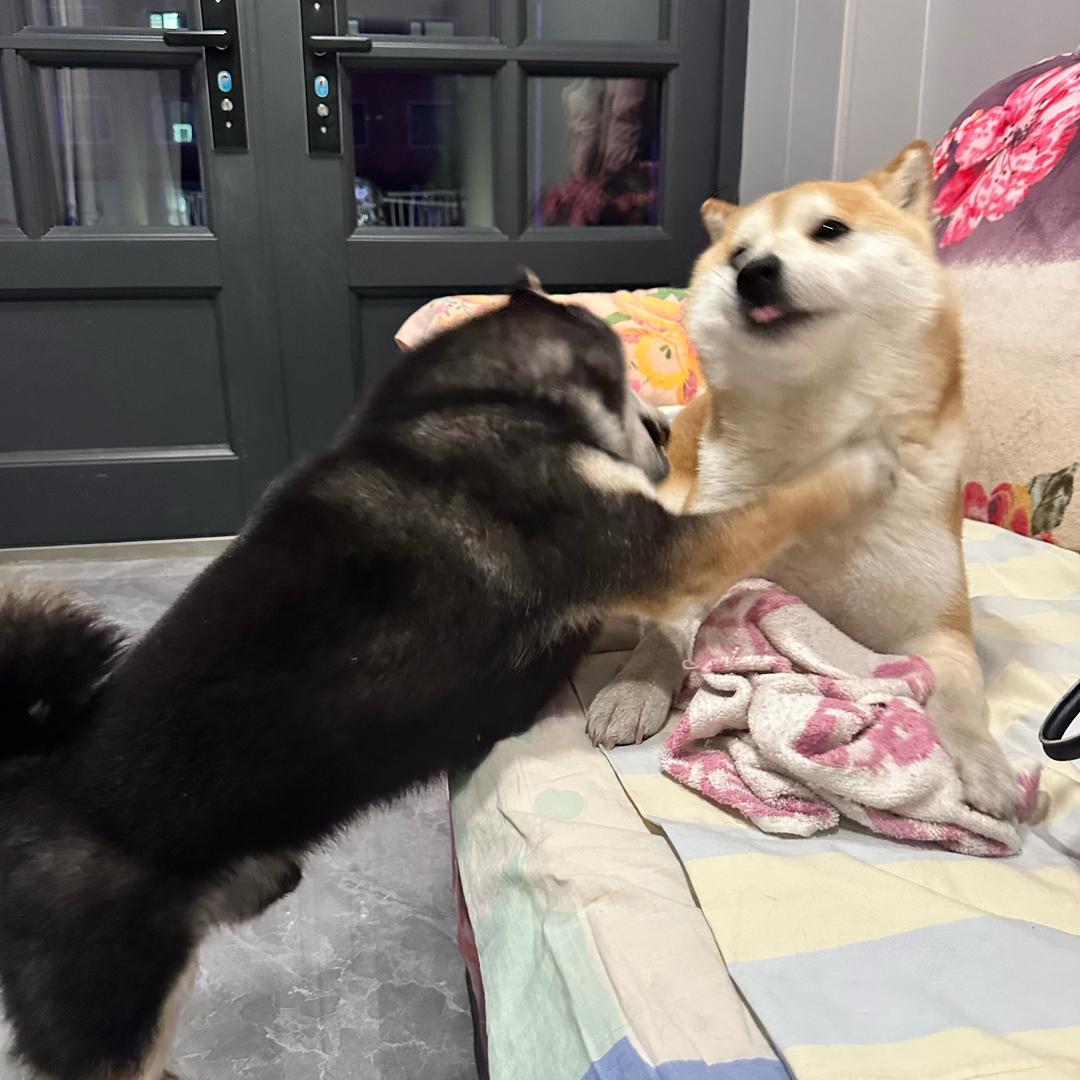 佩佩