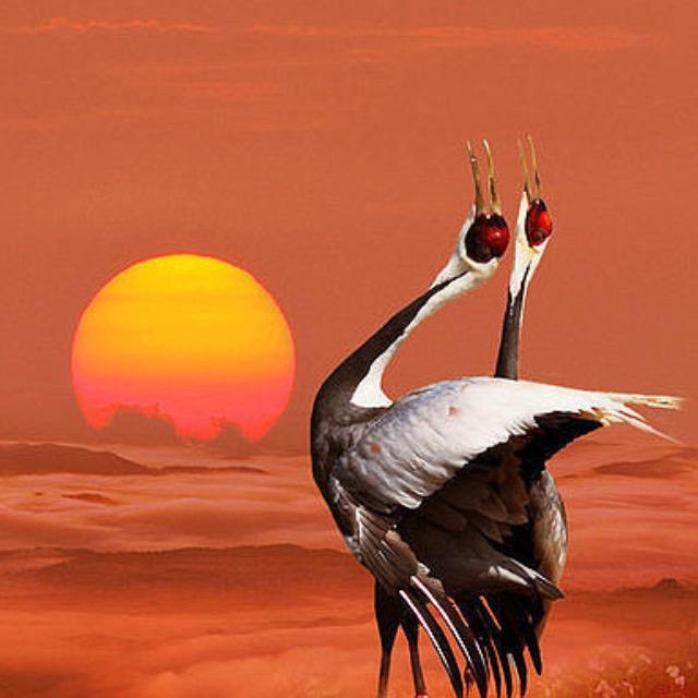 天渊