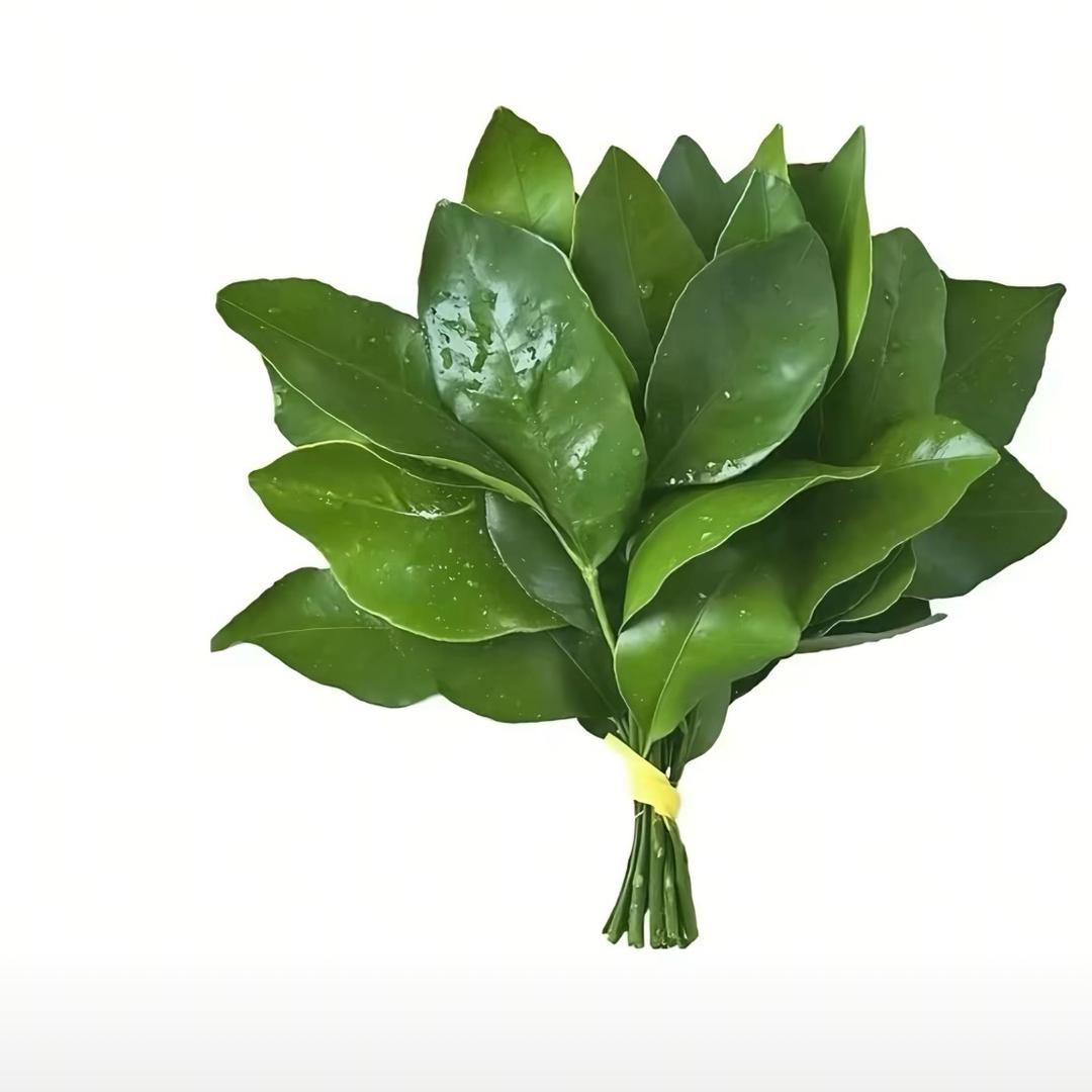 草莓汐🍓