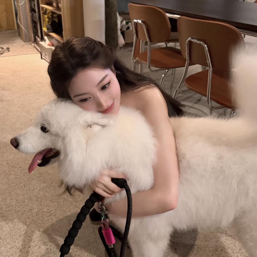 臭臭的香猪