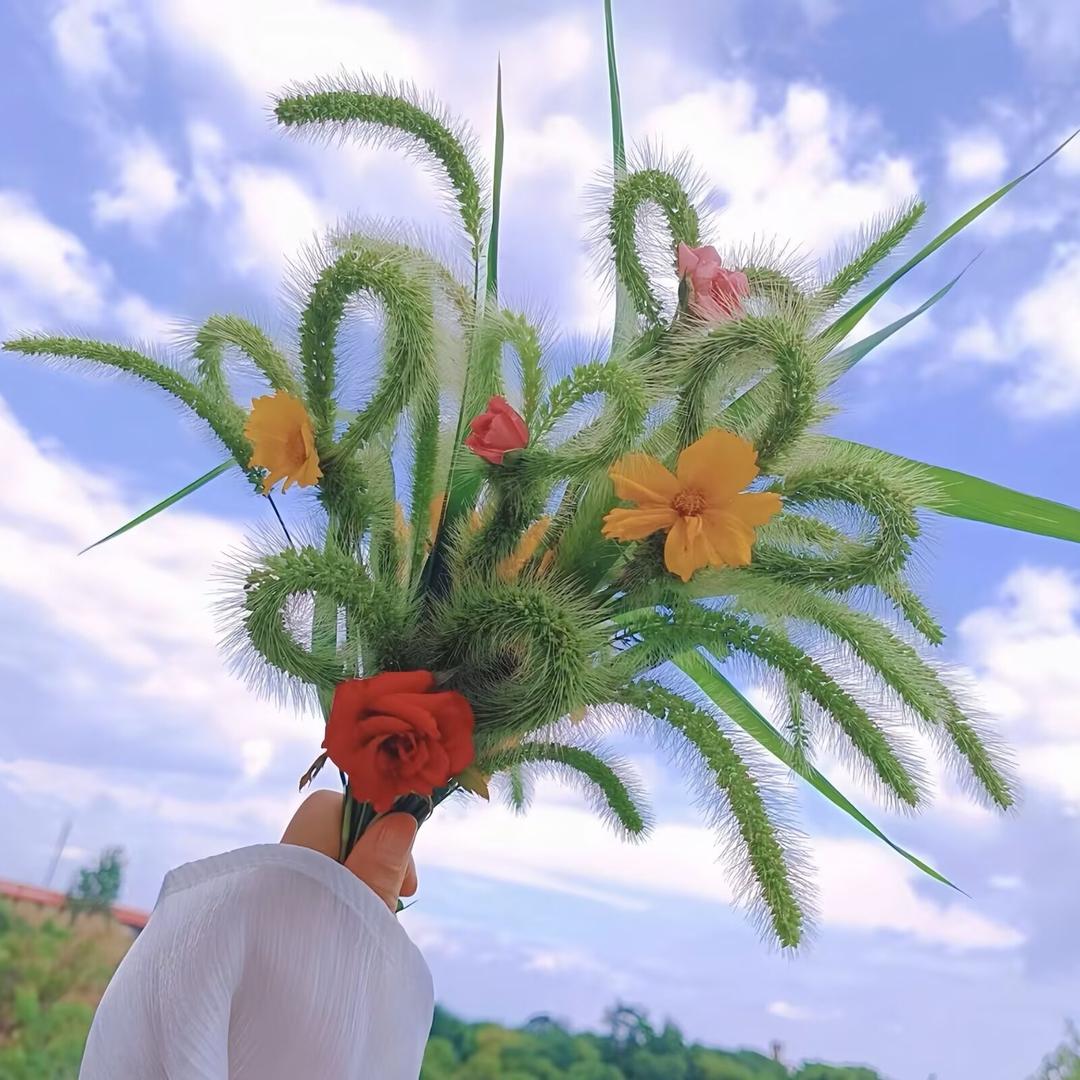 🍋元妞🎀ᵀˣⁿ