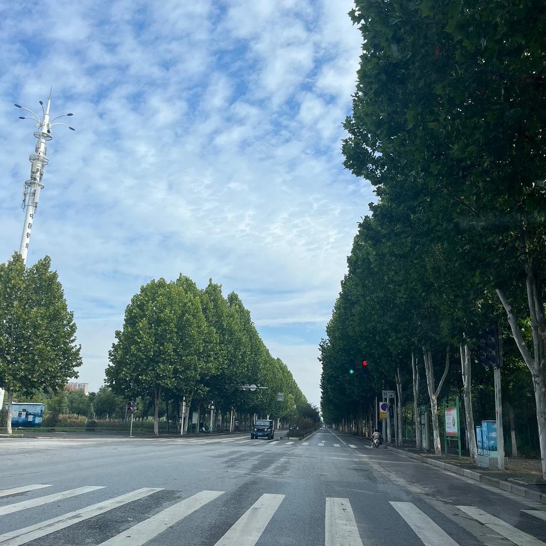 南阳嵩洋二手车  新能源二手车