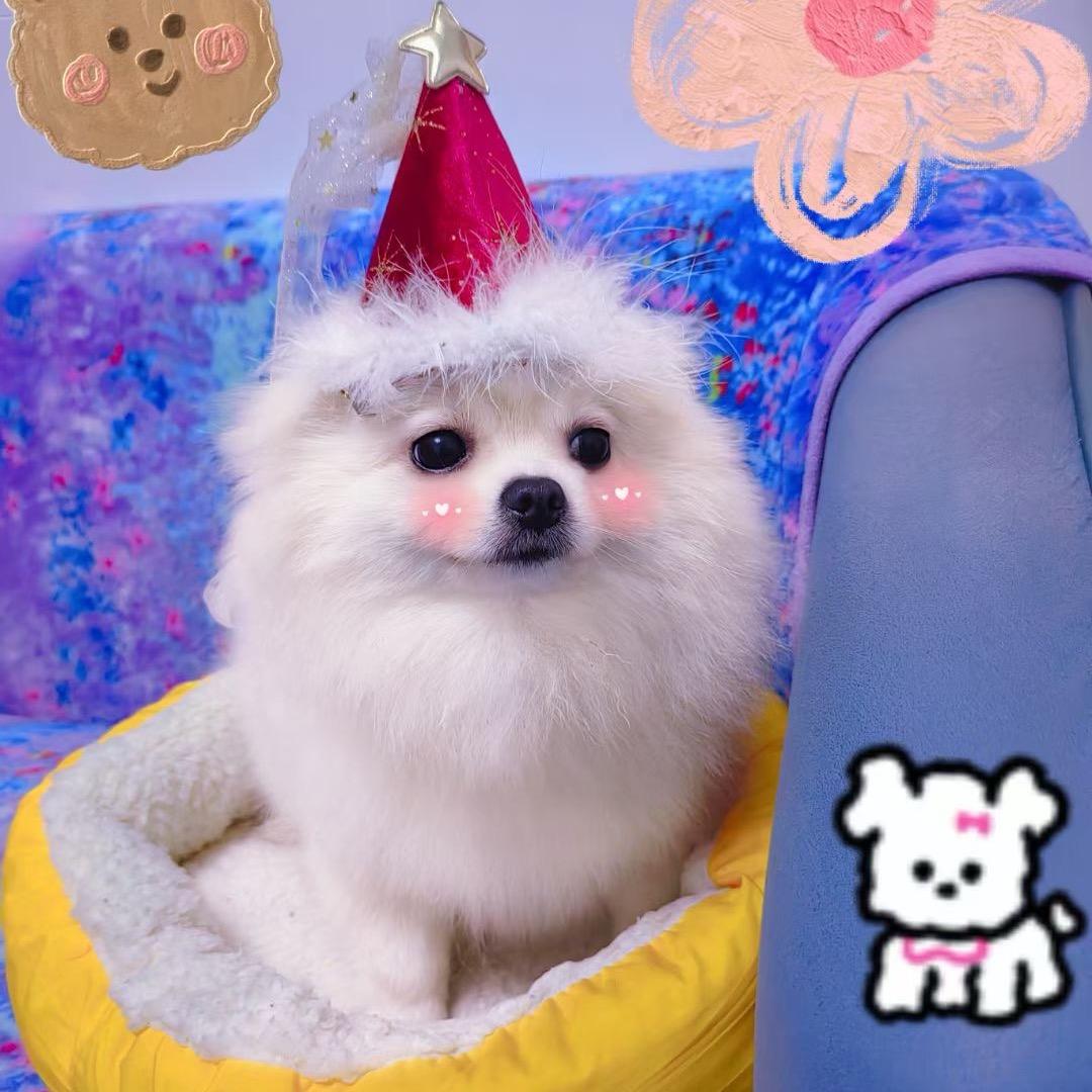 ๓₯㎕兔子🐰