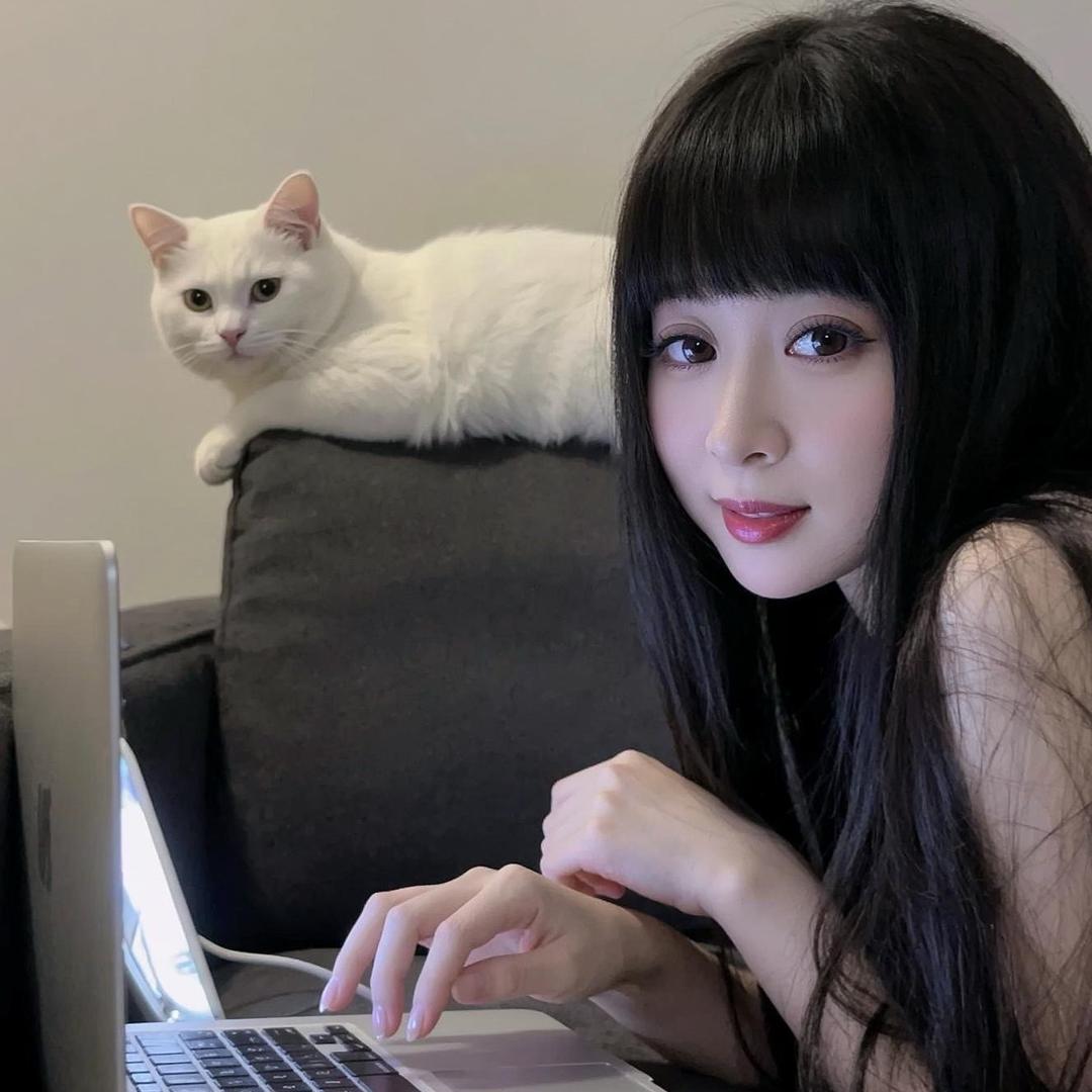 ┻┳═一归零