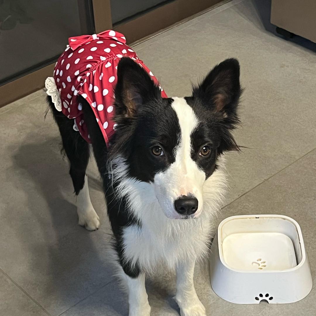 酷Lee很高冷🇨🇳🇵🇸