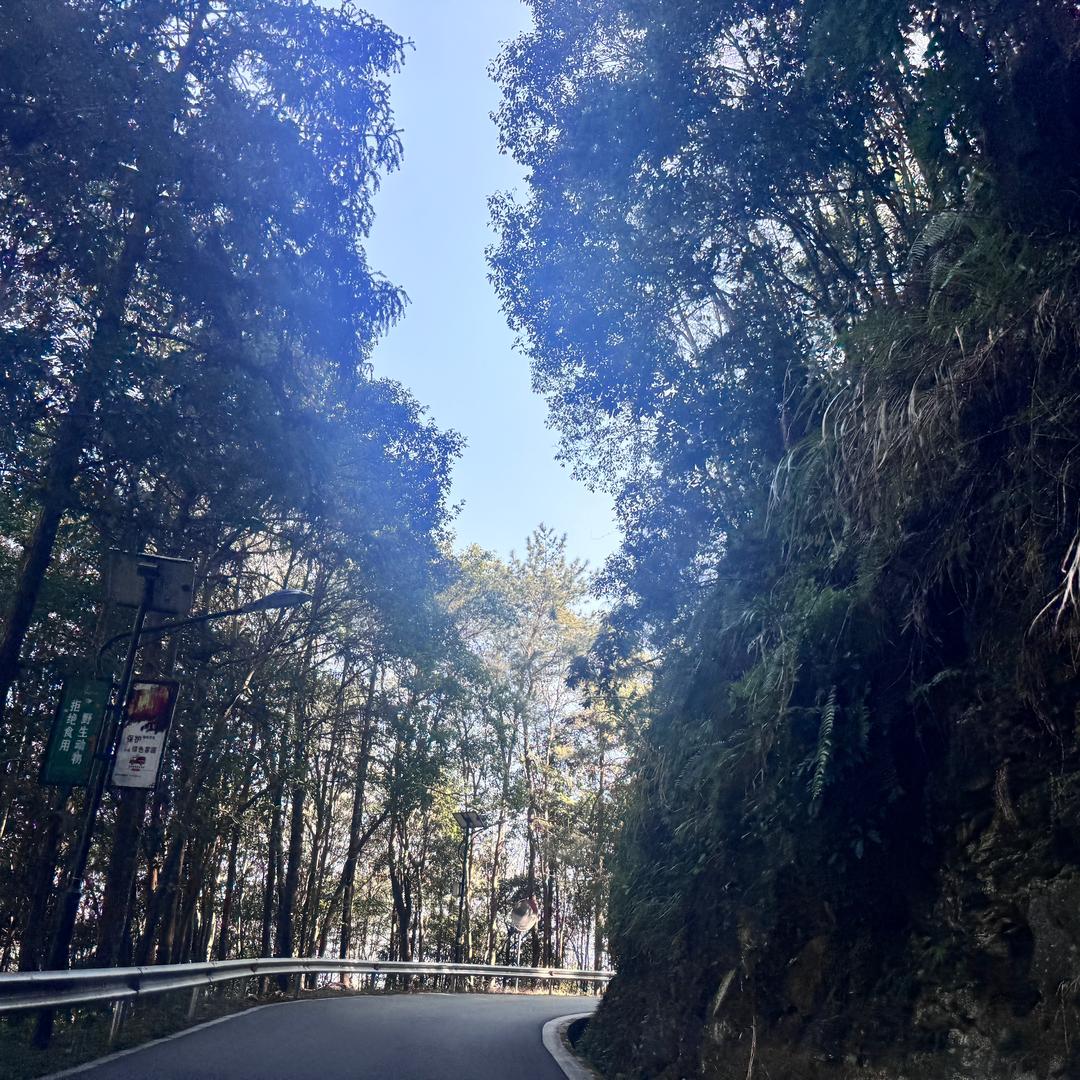 渣渣