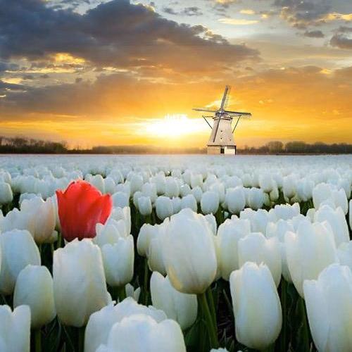 抖音分享-穆先生