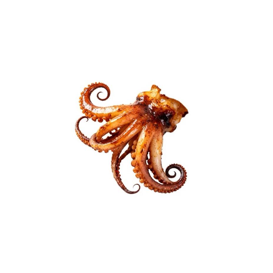 泪水打湿小天才