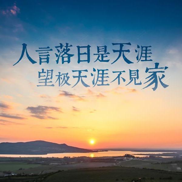 小虎🐯不虎🐯