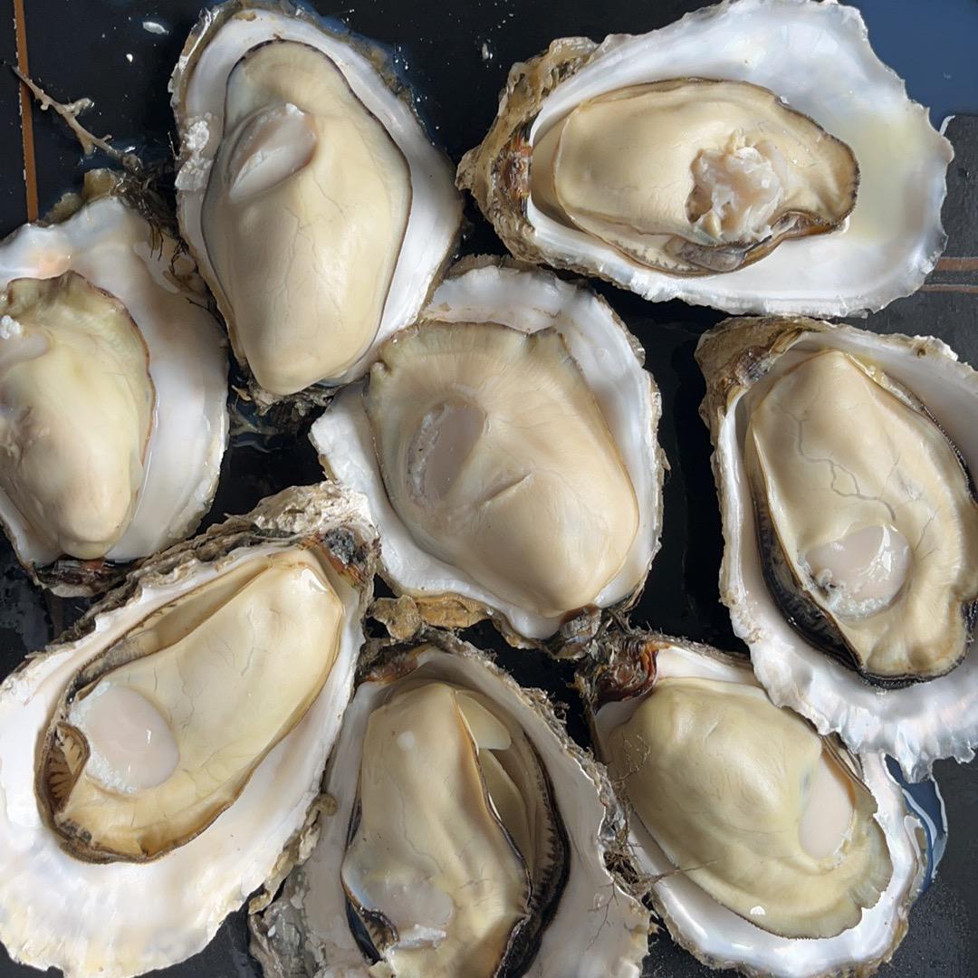 乳山生蚝一手货源批发