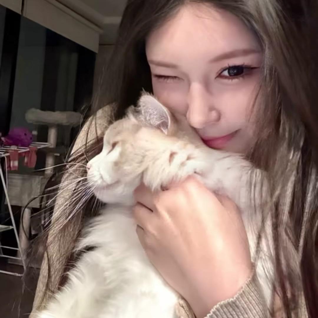 如果有人爱我的天真