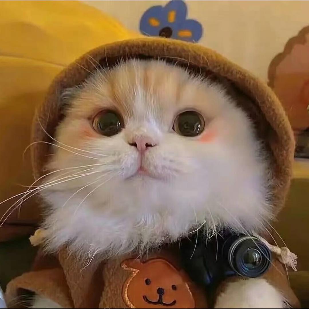 忧郁小晨
