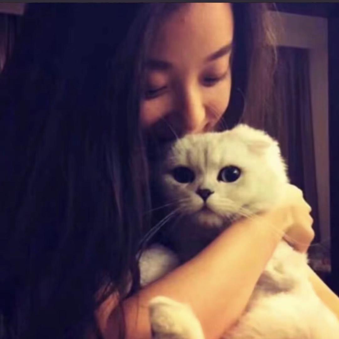 亲到月亮了吗.