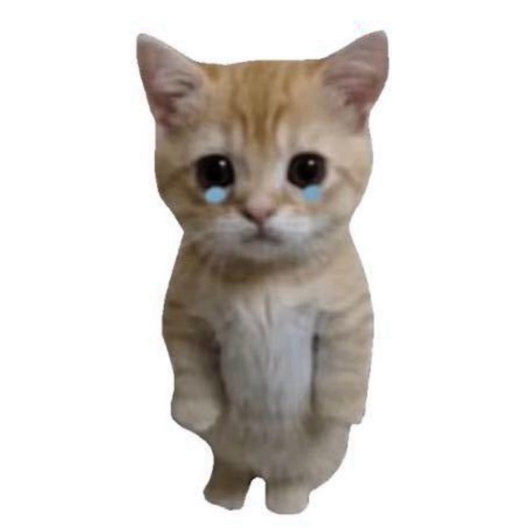 盼盼 盼 盼盼盼