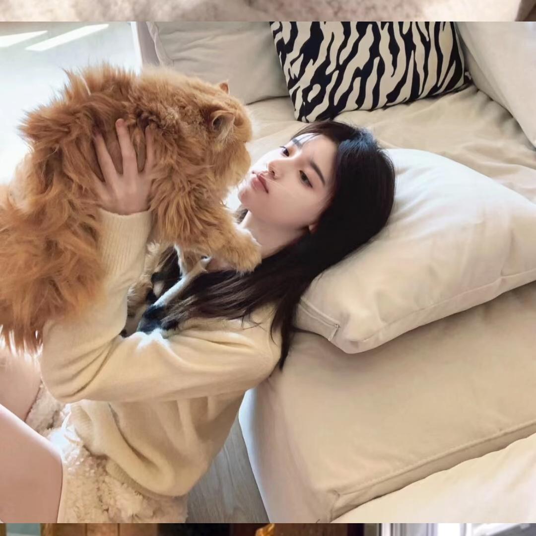 明天见$