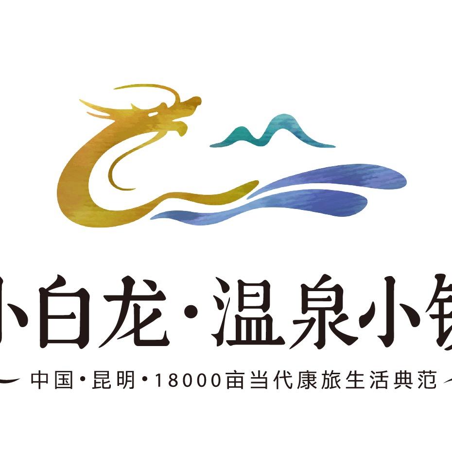 小白龙直播小助理