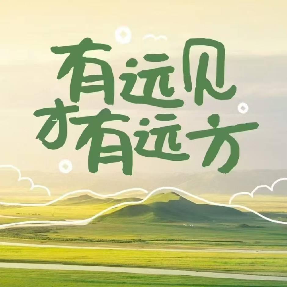 贵C彬彬