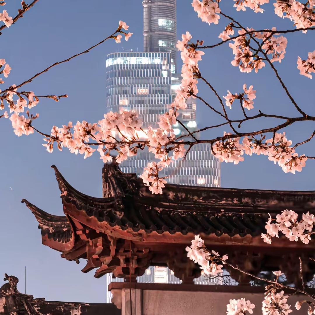 南京旅游（纯玩一日游）